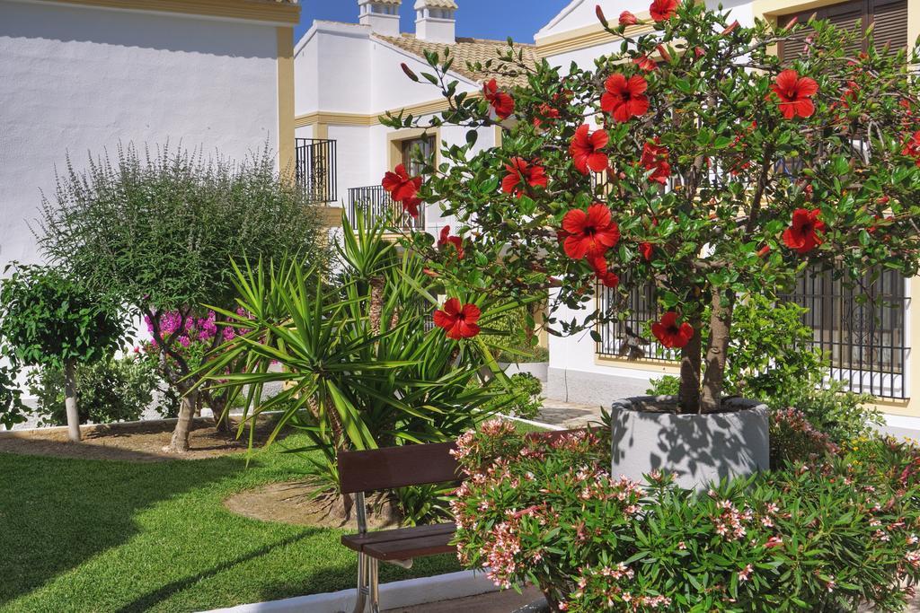 Infinity Beach Resort L'Île-Rousse Dış mekan fotoğraf